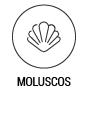 moluscos moluscos